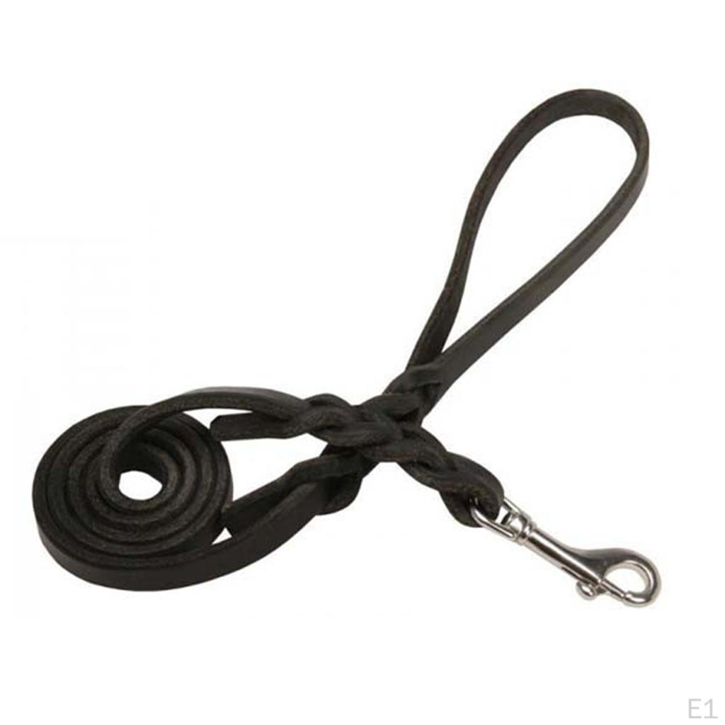 Single Ended Snap Bolt Clip Buckle & Large Swivel 16 Stainless for Underwater Diving, Boating,