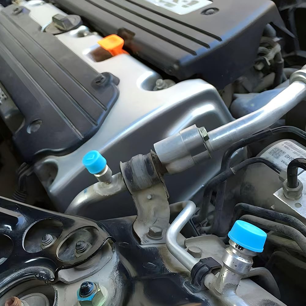 Air Conditioner Valve Covers 30pcs Car Valve Cover AC Valve Cover Insect Repellent