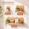 Multi Tier Wall Plant Holder Solid Wood Wooden Wall Shelf  Blank Wall Space