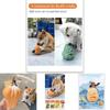 Durable Silicone Pet Food Toy Pumpkin Pirate Design For Dogs And Cats Anti-bite