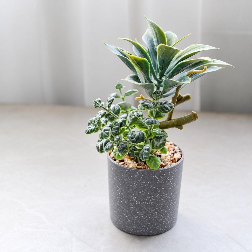 Green Simulation Succulent Flowerpotted Table Potted Fake Flower Bonsai Desktop Ornament