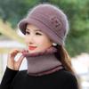 Middle-aged and elderly autumn and winter wool hat, scarf cover, elegant versatile velvet warm squirrel velvet women's knitted hat