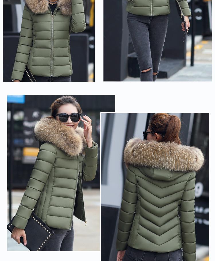 Autumn Winter Korean Style Women's Slim Fit Cotton Padded Jacket - Cold Protection Outerwear
