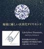 Diamond Lab Single Diamond Earrings for Women in 10K White Gold Box 0.12ct [Gift Set]