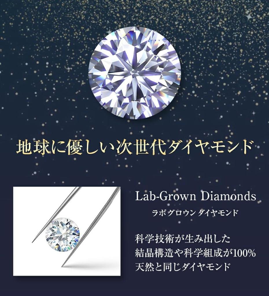 Diamond Lab Single Diamond Earrings for Women in 10K White Gold Box 0.12ct [Gift Set]