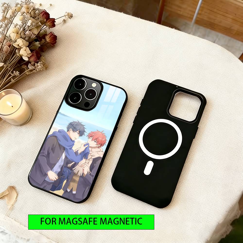 Given Phone Case For iPhone17,16,15,14,13,12,11 Plus,Pro Magnetic with Magsafe Wireless Charging