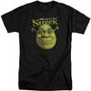 Shrek - Authentisches Herren-Langarm-T-Shirt