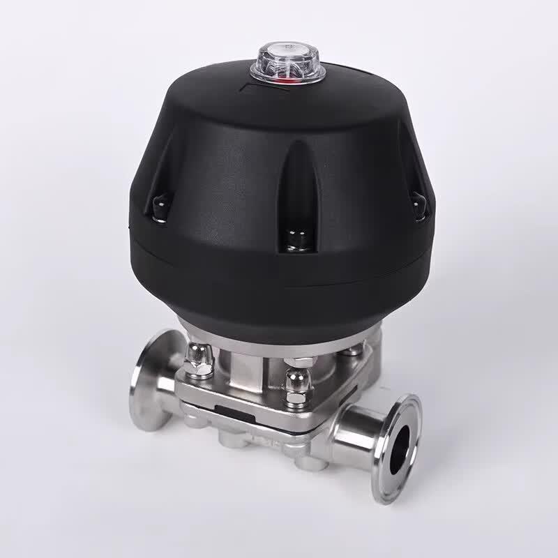 Langsaizebo 316L Sanitary Pneumatic Diaphragm Valve