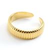 Adjustable Stainless Steel Minimalist Ring, Titanium Steel with 18k Gold and Steel Color, European-American Fashion Style