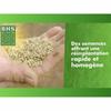 Seeds BHS 1 kg