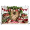 Rural Barn Door Strawberry Themed Birthday Party Background, Children's Birthday Party Decoration Photography Studio Background