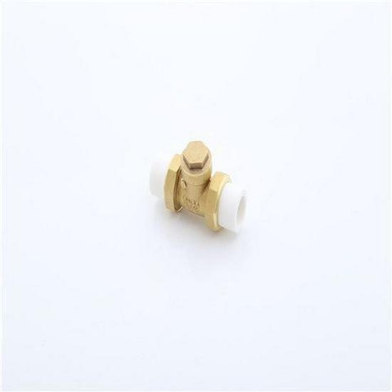 

PPR Brass Hot Melt One-Way Check Valve for Water Pipes