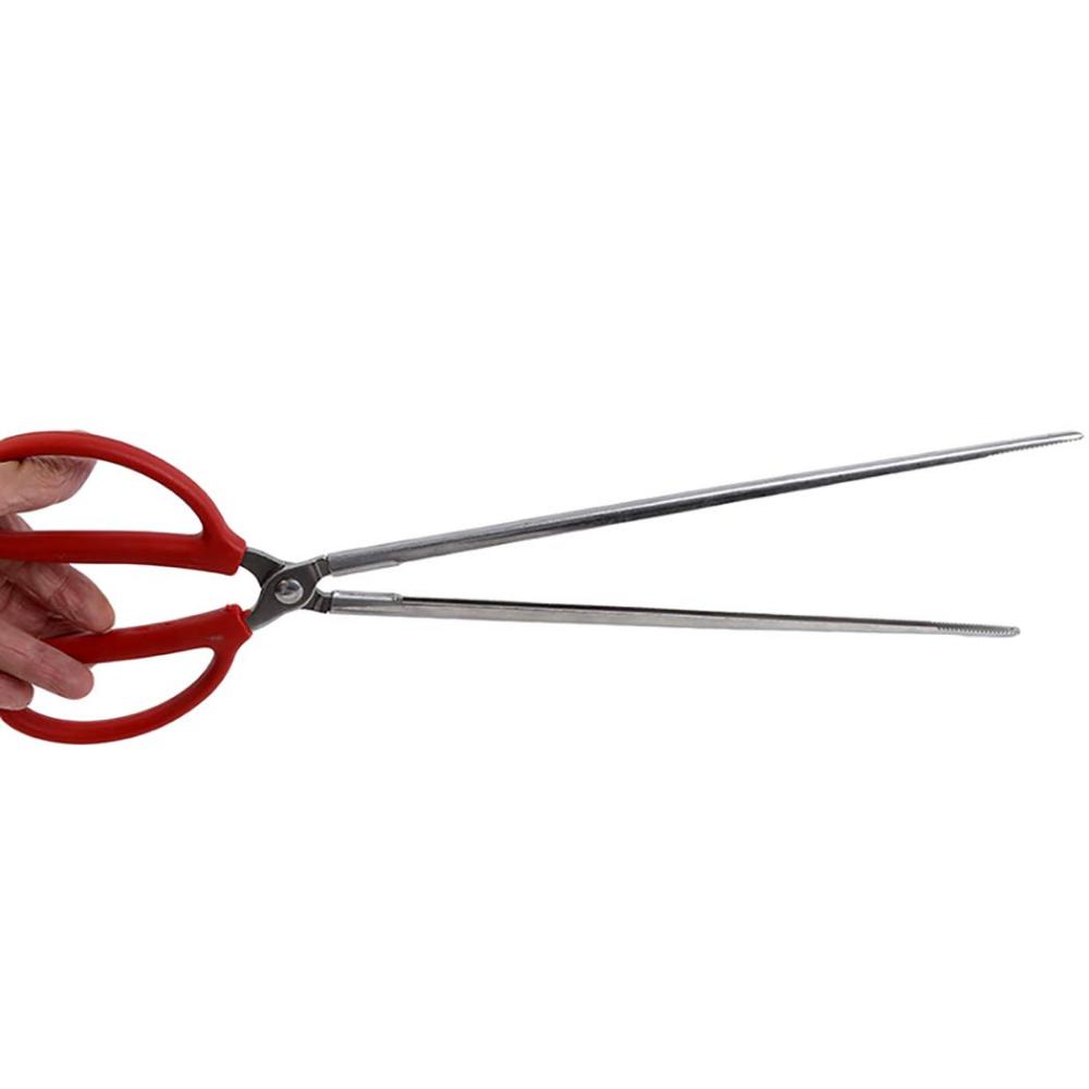 Pinze da pesca in acciaio inossidabile resistenti, forbici multifunzionali antiscivolo con impugnatura in plastica per la pesca di granchi e gamberetti
