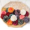 5Pcs Silk Artificial Flowers 7cm Dahlias 10 Colors Garland Accessories Home Decor Wedding Decoration Wall Hanging Garden DIY