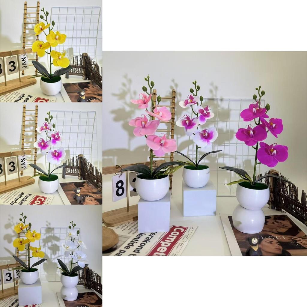 Realistic Artificial Orchid Arrangement With Small Round Pot For Indoor And Outdoor Decoration