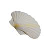 49MD Bulk White Scallops Shells for Painting, Baking, Ocean Themed Party Large Seashells Assortment Beach Decors