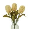 Hill Interiors Banksia Serrata Artificial Flower