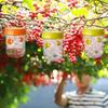 Insect Wasp Trap Asian Hornet Trap Removable and Reusable Wasp Catcher Fruit Fly Trap Moth Trap Fly Trap Tools