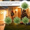 2pc Simulation Of Indoor And Outdoor Potted Plants