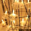 Yunan Starlight LED-Lichterkette