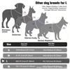 Reflektierendes Taktisches Hundegeschirr mit Verstellbarem Netz & Griff-Leine