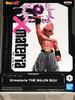 Dragon Ball Z THE MAJIN BUU G×materia