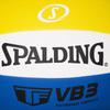 SPALDING No. 5 Training & Competition Volleyball