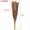 Dried Grass Bunch Bouquet Phragmites Reed Crafts Boho for Decoration Gift Birthday
