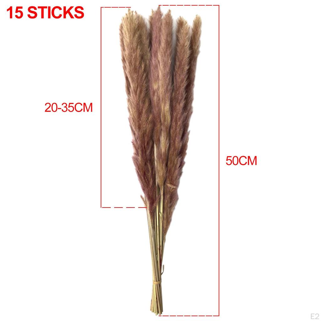 Dried Grass Bunch Bouquet Phragmites Reed Crafts Boho for Decoration Gift Birthday