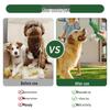 Bite-Resistant Plush Dog Toy with Sound for Small Breeds, Teething & Boredom Relief