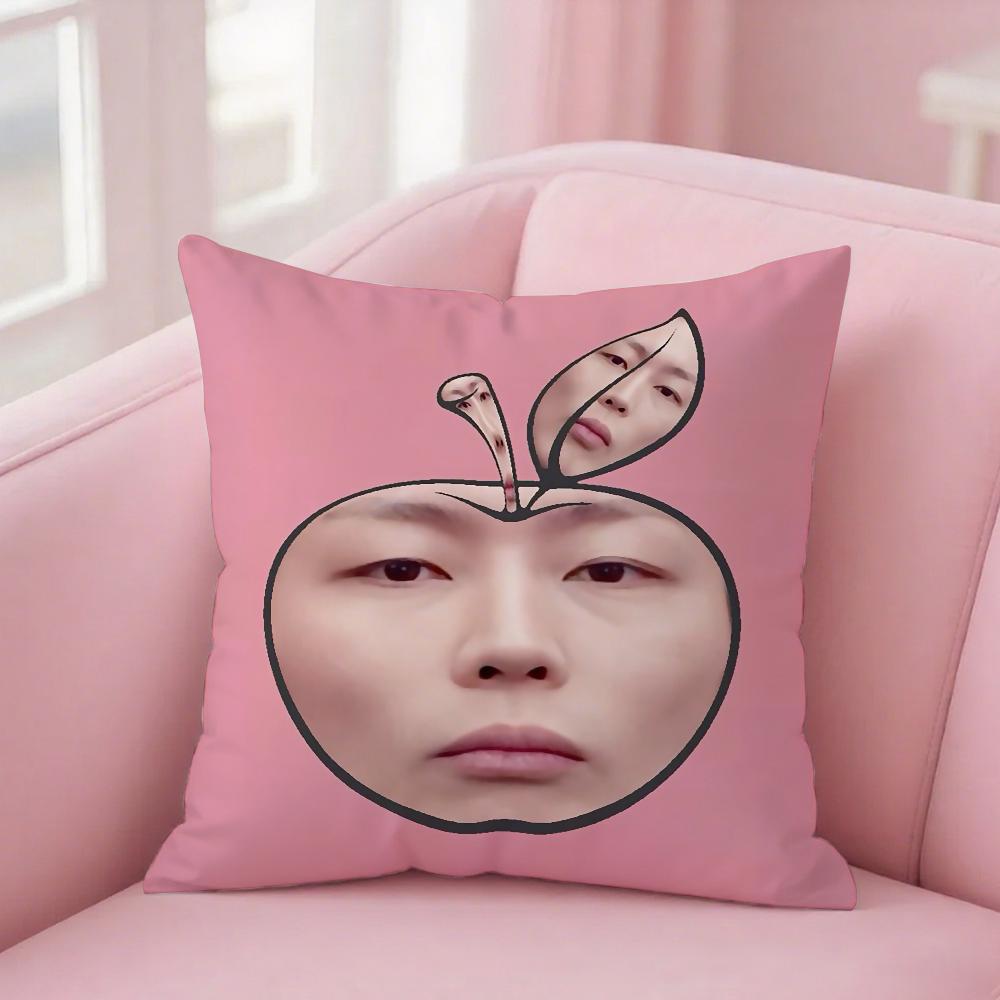 R-Roh J-Jae Won Pillow Case Square Double-Sided Printing Short Plush Sofa Cushion Cover Bedroom Bedside Pillow