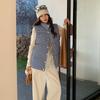 Stand-up collar plaid sleeveless cotton jacket vest jacket women's summer new stacked wear casual loose hidden buckle vest tide