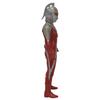 Character Content Production Tokusatsu Series Ultraman When the Ultra Star Shines High Grade Scale 300mm PVC Polyurethane Painted Complete Figure