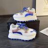 Dad Shoes Women's Heightening Little White Shoes Hollowed Out Summer 2025 New Leisure Sports Shoes Platform Women's Shoes Tide
