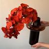 Glass Vase Geometric Arc Shape Transparent Coffee Colored Vase Flower Arrangement Terrarium Home Decoration Accessories