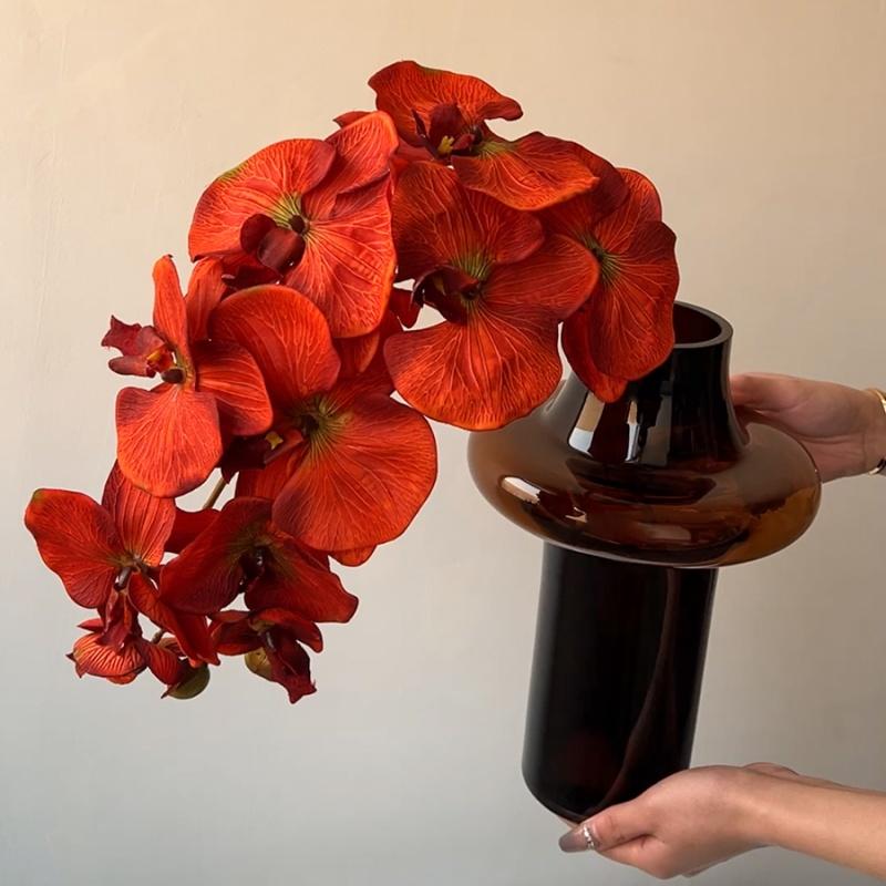 Glass Vase Geometric Arc Shape Transparent Coffee Colored Vase Flower Arrangement Terrarium Home Decoration Accessories