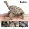 Oenux Reptile Animals Star Turtle Tortoise Geochelone Model Figurines Action Figures PVC Ornament Education Kid Toy Gift