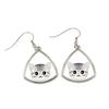 American Shorthair - Elegant Metal Earrings As a Gift from the Brand