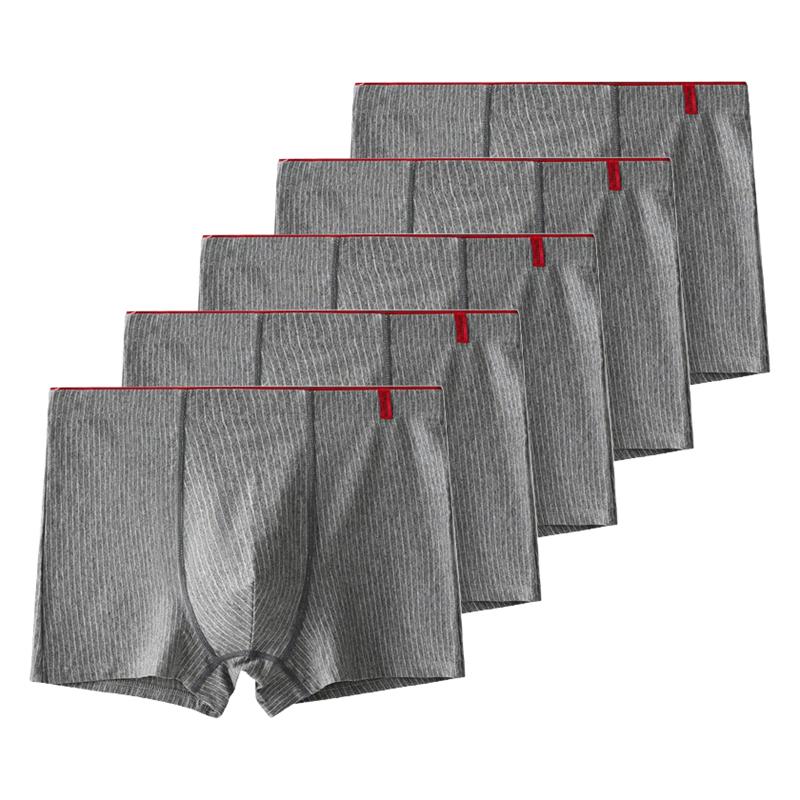 5 kusů Pánské bavlněné boxerky Antibakteriální spodní prádlo Pánské kalhotky XL XXL 3XL 4XL 5XL