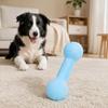 Dog Chew Toy, Soft TPR Teething Bone for Small Dogs, Stain Resistant Deep Teeth Cleaning Stick for Puppy