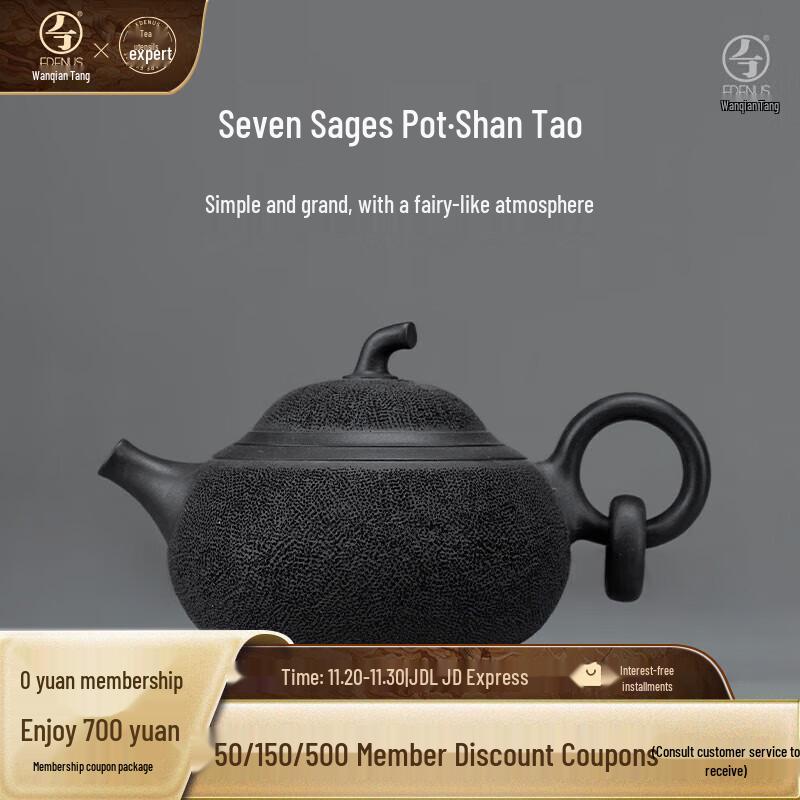 Edenus Ceramic Gongfu Tea Pot