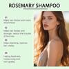 Bio Rosmarin Haarwachstum Shampoo, Rosmarin Hydrolysiertes Keratin Shampoo, Natürliche Verdickung & Stärkung Pflegt das Haar Weich und Flauschig, 100ml