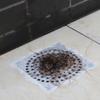 100/5pcs Mesh Disposable Floor Drain Sticker Hair Catcher Stopper Anti-blocking Filter Sticker Bathroom Shower Cleaning Tools