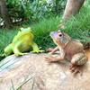 1Pcs Hand Painted Amphibious Animal Figurine Educational Realistic Toad Frog Figure Rubber Animal Model Toy For Kids