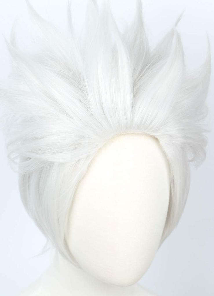 Linfairy Cosplay Wig, Heat Resistant, Costume Accessory, L55, Silver
