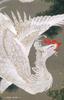 Complete Collection of Japanese Art 14: Jakuchu, Okyo, and the Fantasy of the Capital (Complete Collection of Japanese Art (20 Volumes))