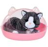 Doll Zapf Creation Baby Born My Cat Cookie With Box