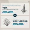 [Solep] Hair Loss Intensive Improvement Scalp Ampoule Pack 40mlX2