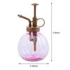 Plant Flower Watering Pot Spray Bottle Garden Mister Sprayer Hairdressing 350ML