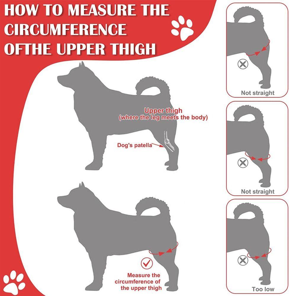 Universal Leg Protector Recovery Sleeve Dog Support Brace Legs Wrap Pet Knee Pads Injury Recover